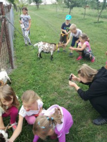 20106329_1512985945411603_4735032953595733730_n